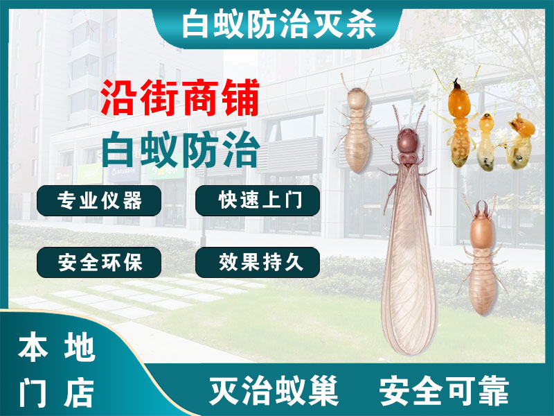 武进沿街商铺白蚁防治
