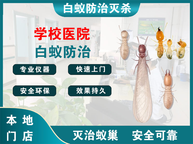 武进学校医院白蚁防治