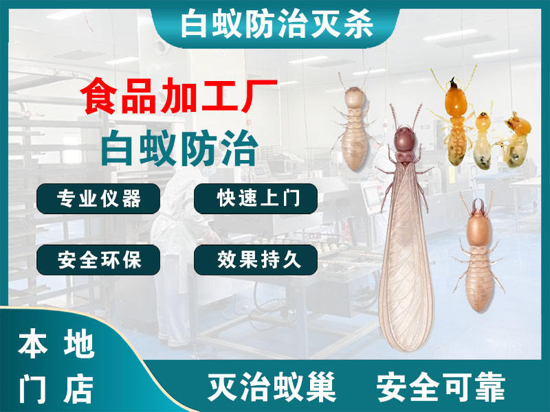 武进食品加工厂白蚁防治