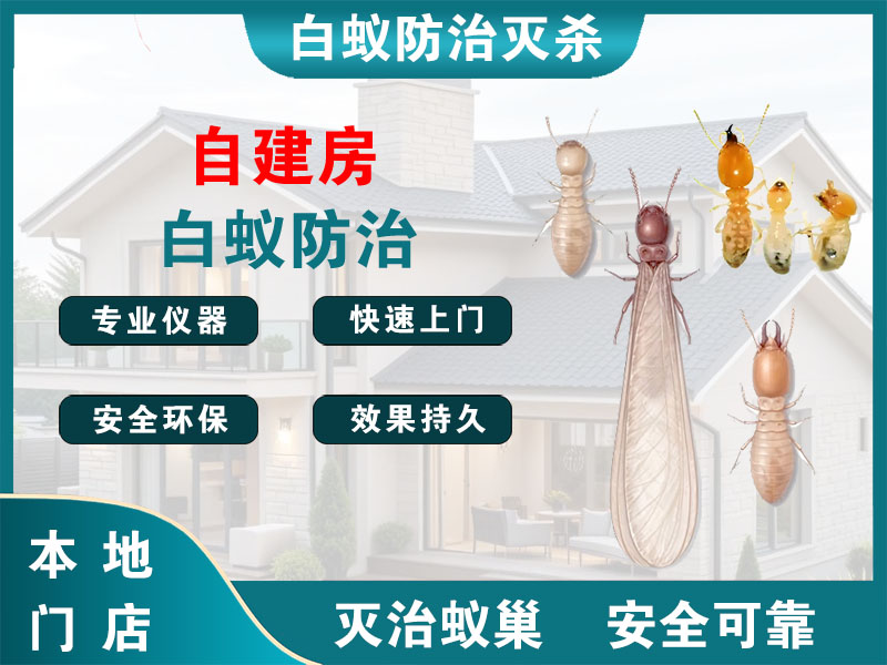 武进自建房白蚁防治