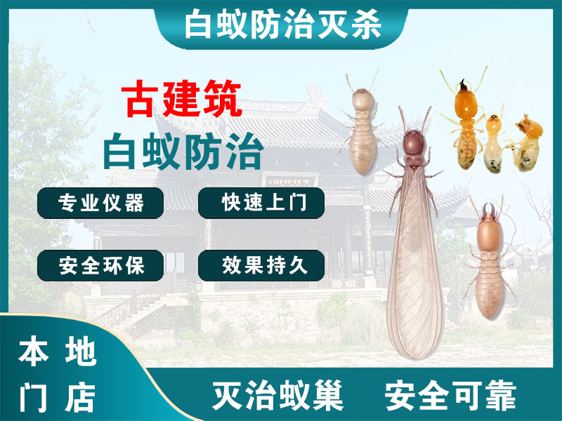 武进古建筑白蚁防治