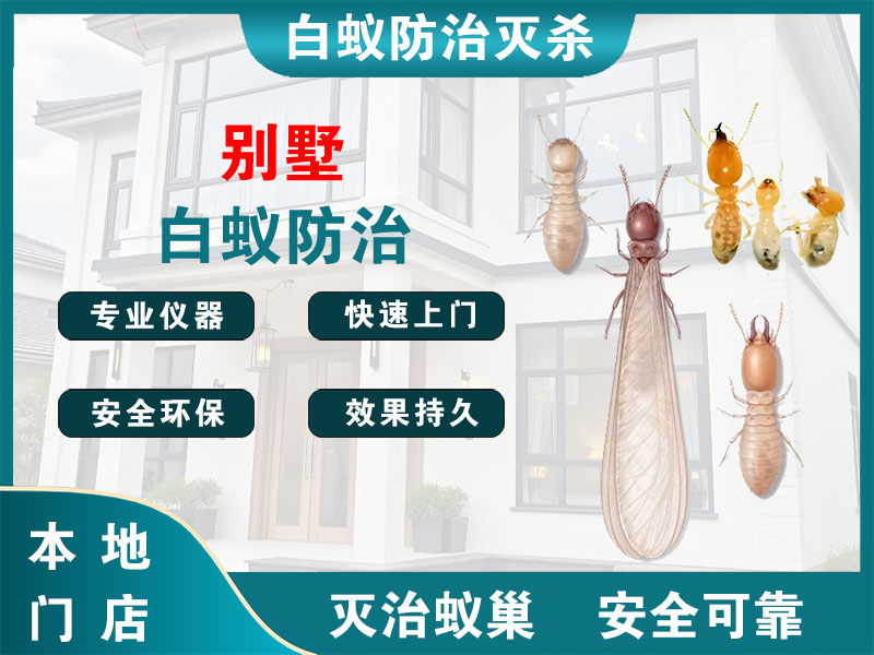 武进别墅白蚁防治