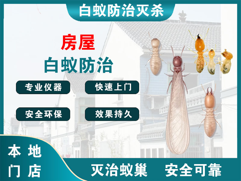 武进房屋白蚁防治